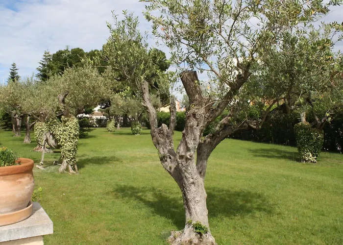 Tatil Evi Port Estrella 64 *